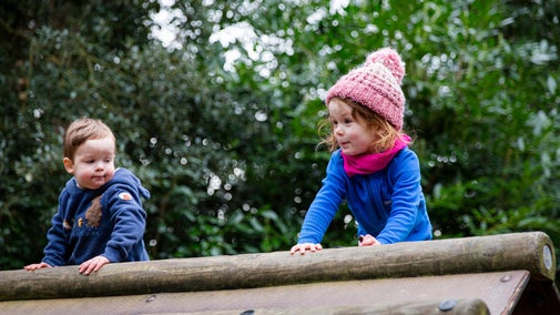 Children on climbing frames in Rook Wood playground, Penrhyn Castle
